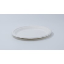 9" Bagasse Plate(圆形)(Fibre-P013)